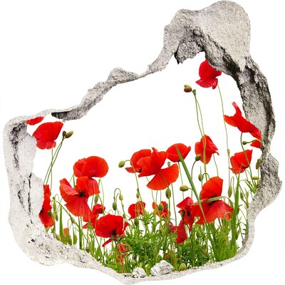 Hole in the wall sticker A floral paradise in concrete