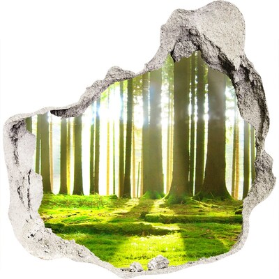 Hole in the wall sticker Green forest with sun rays