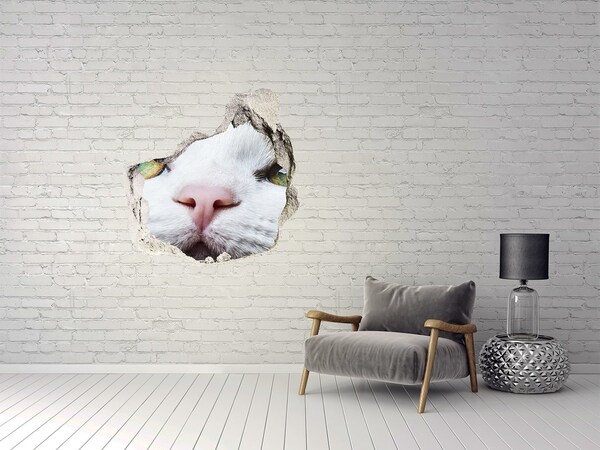 3D wall hole wallpaper The cat in the wall