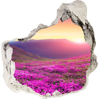 Hole in the wall sticker Flower Valley at Sunset