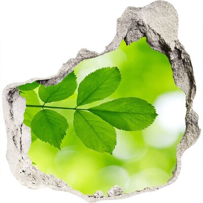 Hole in the wall decal Green leaves