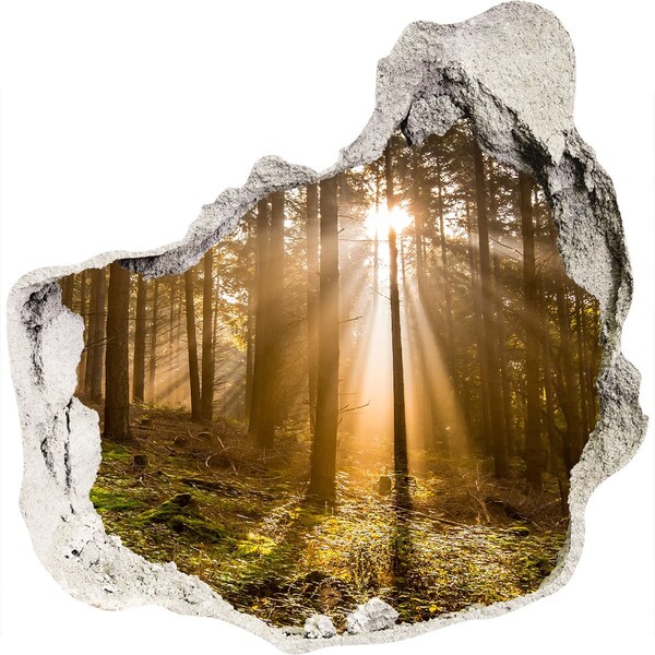3D wall hole Forest oasis of light