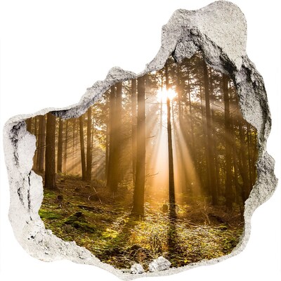 3D wall hole Forest oasis of light