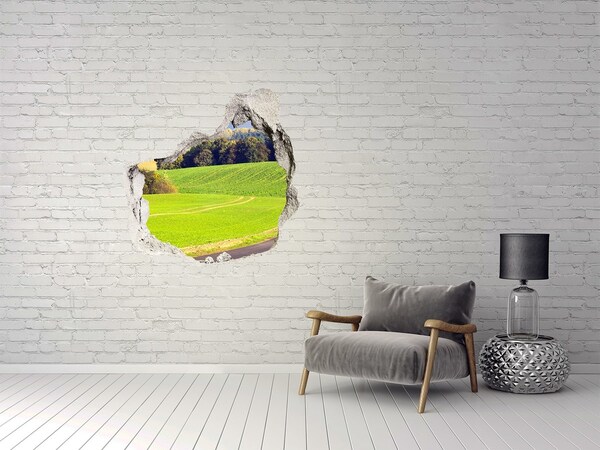 Hole wall sticker Green meadow behind the wall
