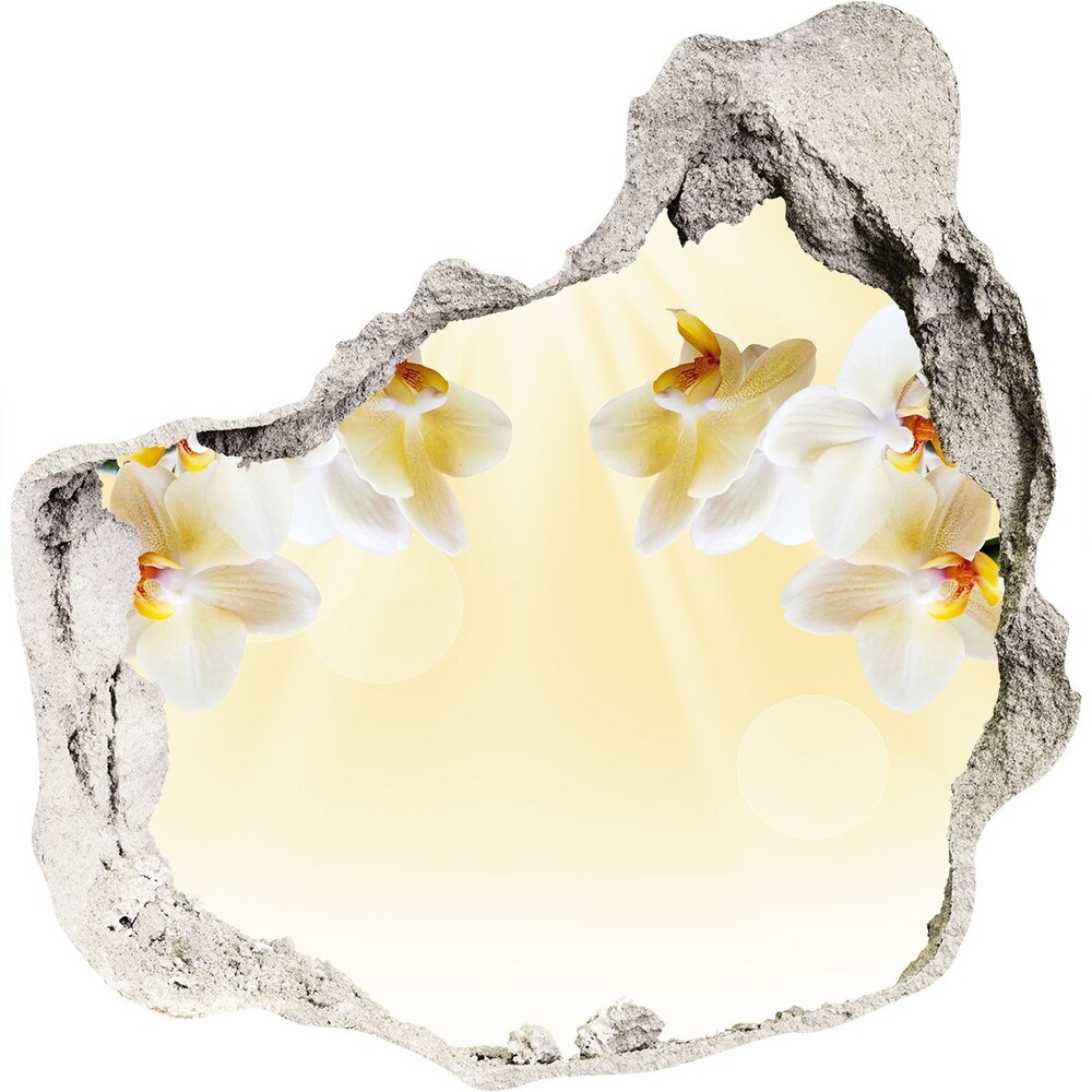 Hole wall sticker Orchid