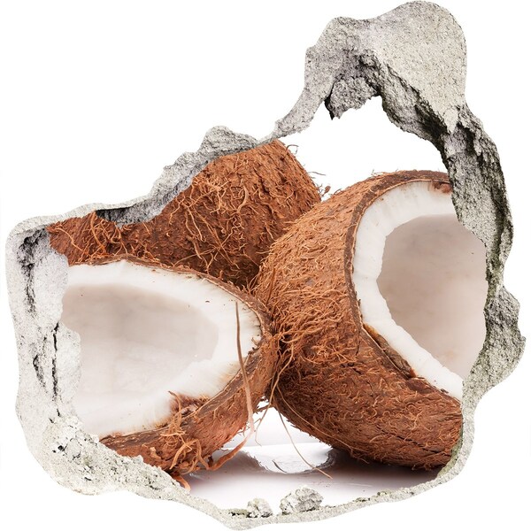 Hole wall sticker Coconut Treasures