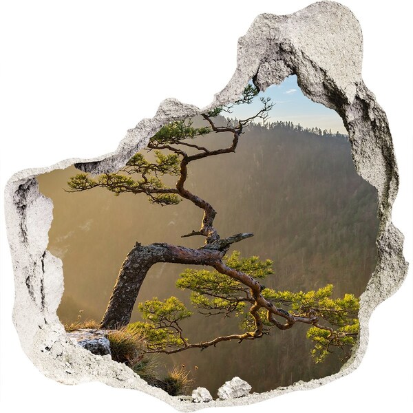 Hole wall sticker Sokolica Pieniny