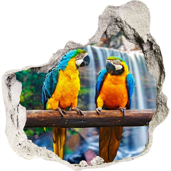 3D wall hole wallpaper Paradise parrots at the waterfall