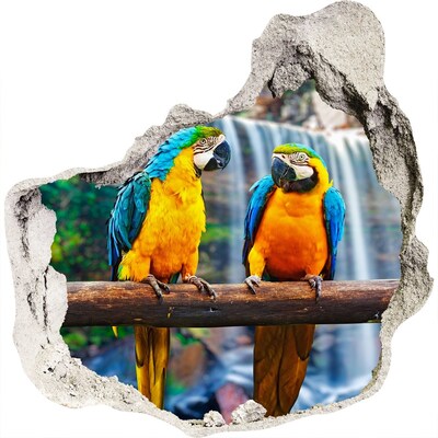 3D wall hole wallpaper Paradise parrots at the waterfall