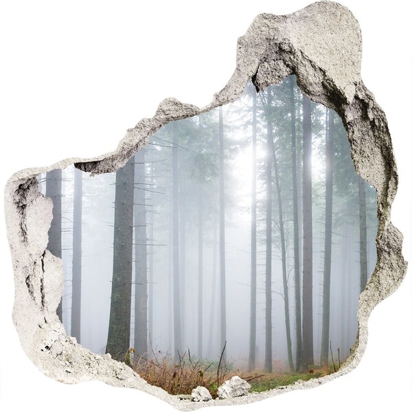 3D wall hole Misty forest