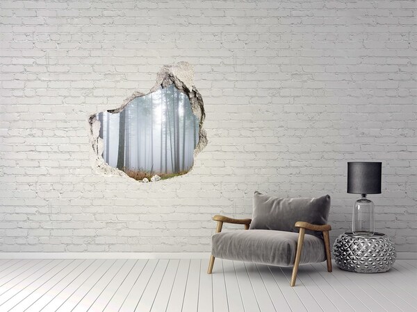 3D wall hole Misty forest