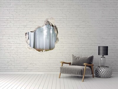 3D wall hole Misty forest
