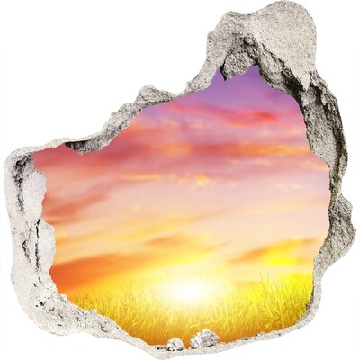 3D wall hole Sunset over the meadow