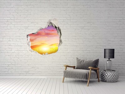 3D wall hole Sunset over the meadow