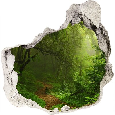3D wall hole wallpaper Green forest with a forest path