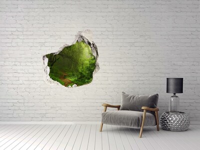 3D wall hole wallpaper Green forest with a forest path