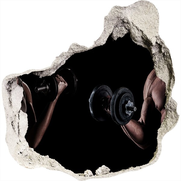 Hole in the wall decal Gym at home