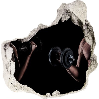 Hole in the wall decal Muscle structure