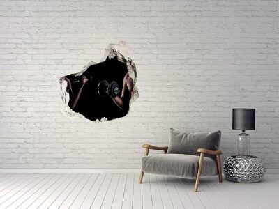 Hole in the wall decal Gym at home