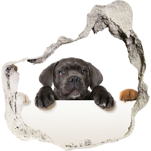 Hole in the wall sticker Sweet puppy from behind the wall