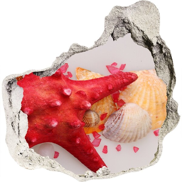 Hole wall sticker Underwater world with shells