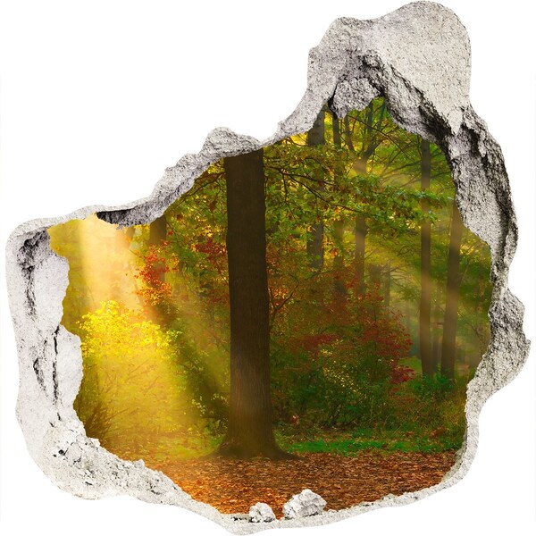 Hole in the wall sticker Autumn forest scenery