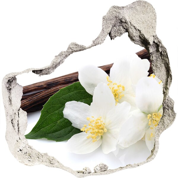 Hole in the wall sticker Jasmine flowers in concrete