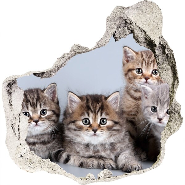 Hole wall sticker Kittens in a hole in the wall