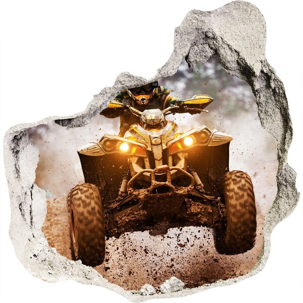 Hole in the wall decal Rally quad in action