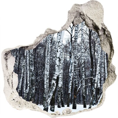 3D wall hole Winter birch forest