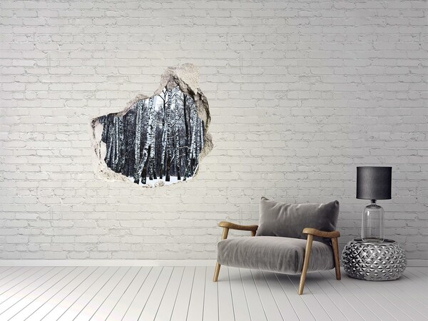 3D wall hole Winter birch forest
