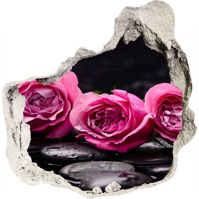 Hole in the wall decal Pink roses