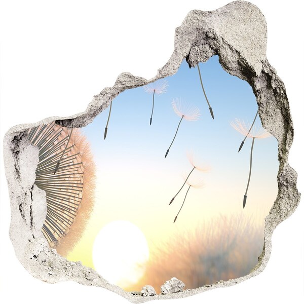 Hole in the wall decal Dandelions against the sunset background