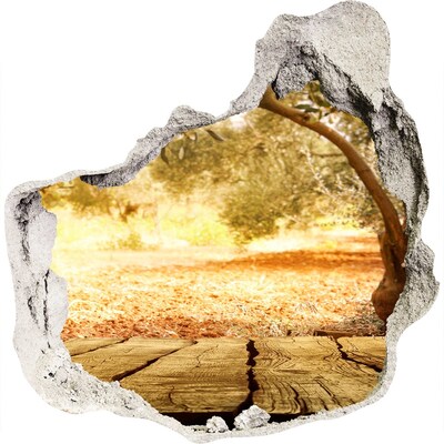 3D wall hole wallpaper Garden in the sunshine