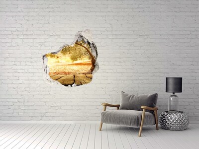 3D wall hole wallpaper Garden in the sunshine