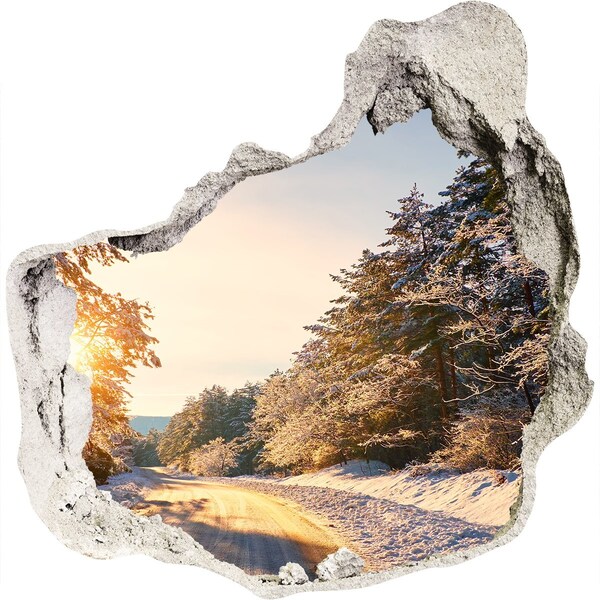 Hole in the wall sticker Winter landscape in the forest