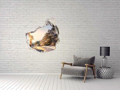 Hole in the wall sticker Winter landscape in the forest