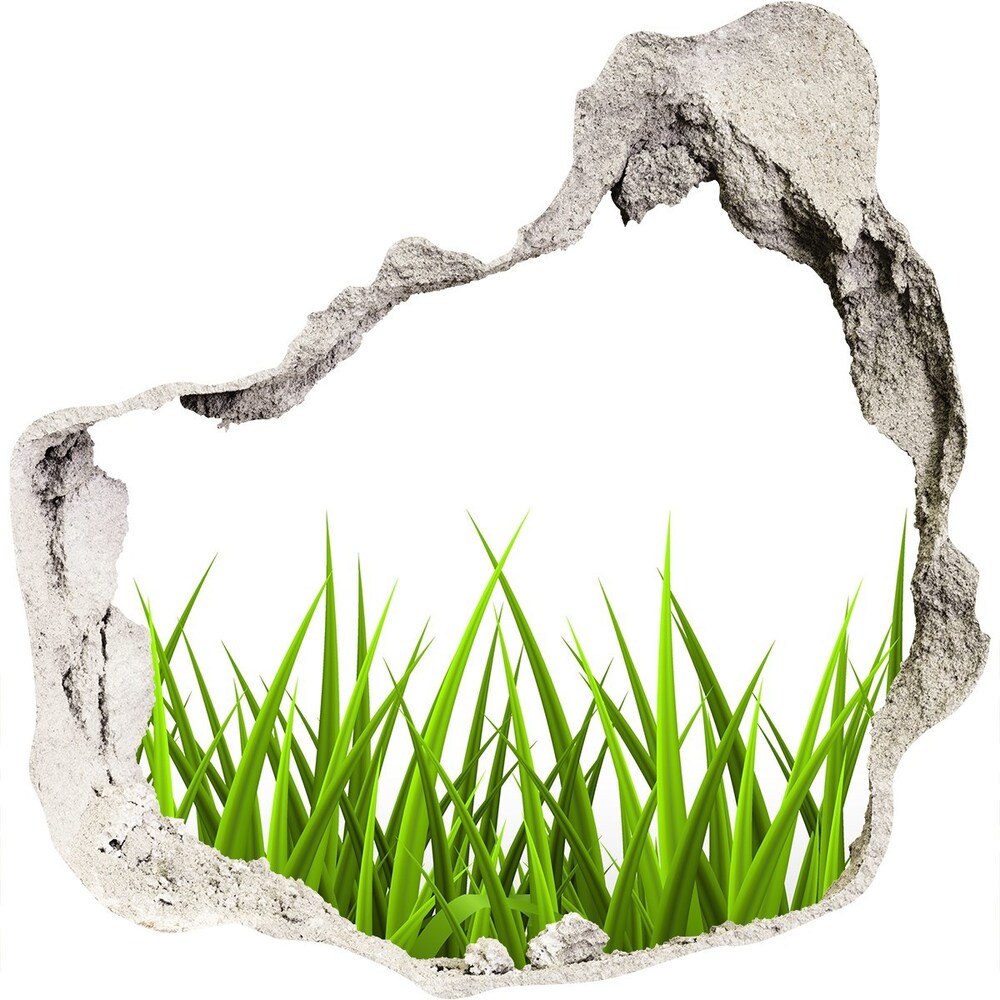 Hole wall sticker Grass