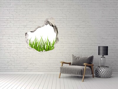 Hole wall sticker A green meadow behind the wall