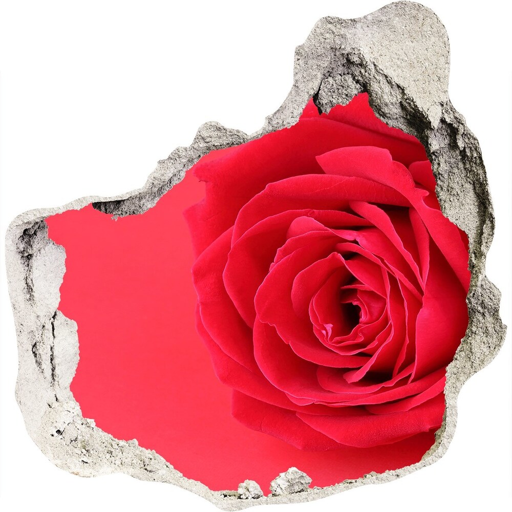 Hole wall sticker Red rose