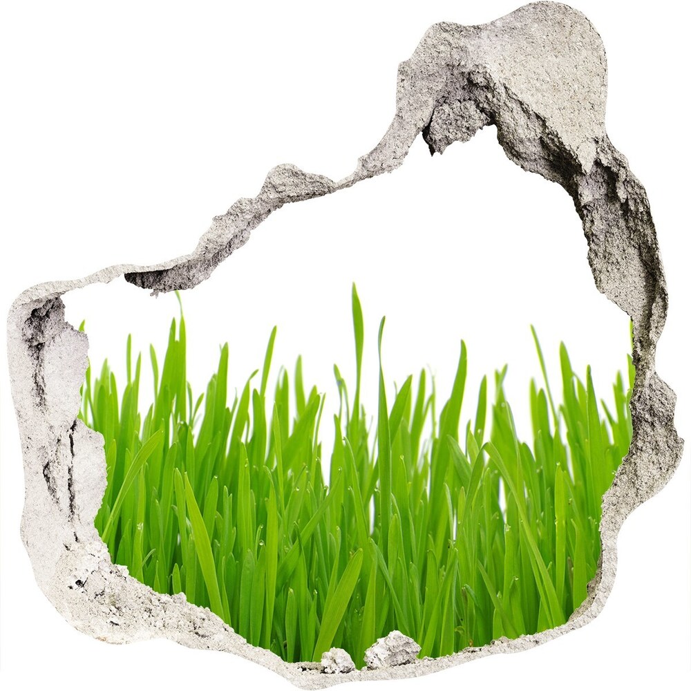 Hole wall sticker Grass