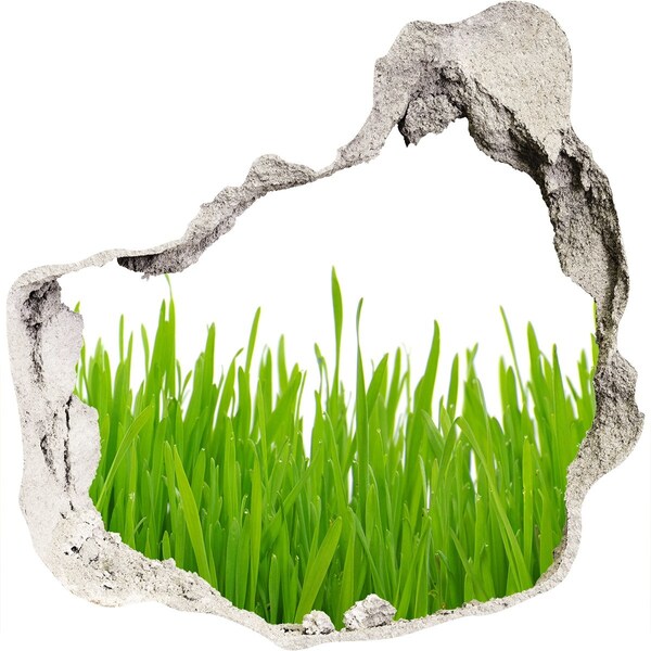 Hole wall sticker Grass