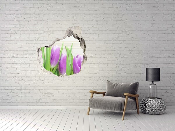 Hole in the wall decal Flowers in a hole in the wall