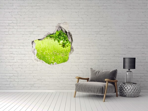 Hole in the wall sticker A green meadow behind the wall