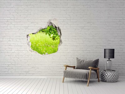 Hole in the wall sticker Green meadow