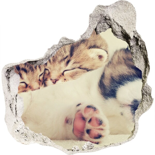 3D wall hole wallpaper Cute kittens in a hole in the wall
