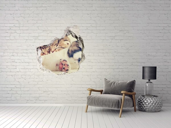 3D wall hole wallpaper Two cats and a dog