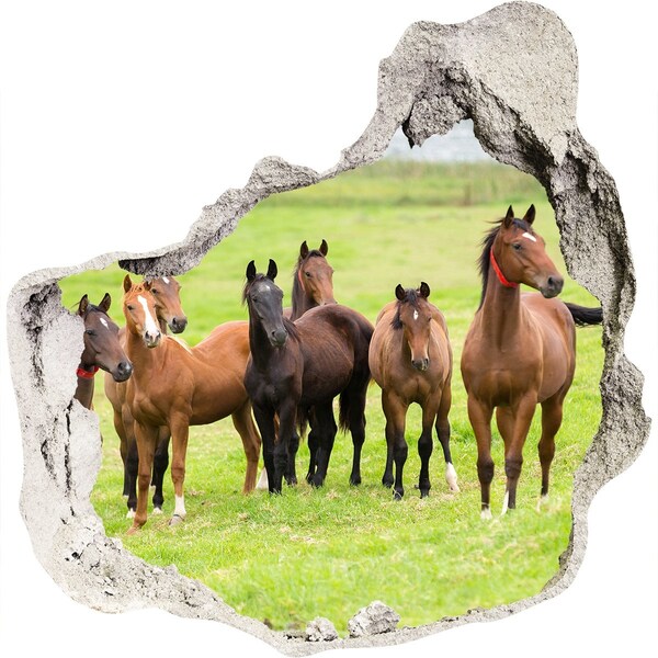 Hole in the wall sticker A herd of horses in the pasture