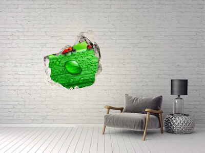 3D wall hole wallpaper Ladybugs on the grass