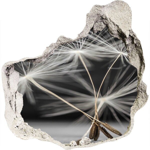 3D wall hole Dandelion flowers in concrete